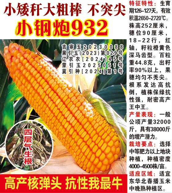 小钢炮932